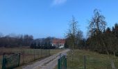 Tour Zu Fuß Heidesee - Rundweg Prieroser Heide - Photo 10