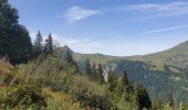 Tocht Stappen Les Contamines-Montjoie - Très La Tête 10 08 2023 - Photo 13