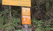 Trail Walking Val-Cenis - Bramans/fort de l'Esseillon - Photo 10