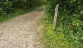 Tocht Stappen Saint-Hilaire - Saint-Hilaire - Géosite et abri gravé - Photo 10