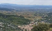 Trail Walking Larnas - Larnas - Saint montan par les gorges de ste baume - Photo 7