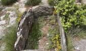 Trail Walking Cassagnas - Cassagnas - Saint germain  - Photo 8