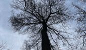 Tour Wandern Le Chesnay-Rocquencourt - Arboretum de Chevreloup - Photo 13