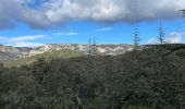 Tour Wandern Cheval-Blanc - PF-Cheval-Blanc - Autour de Saint Phalez - Photo 6