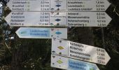 Trail On foot Schramberg - Schramberg - Rotwasser - Photo 8