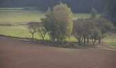 Percorso A piedi Pommelsbrunn - Hunas-Rundweg um Pommelsbrunn - Photo 8