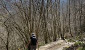 Trail Walking Bouillon - Bouillon 1 - Photo 10
