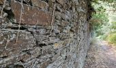 Trail Walking Saint-Gravé - Vers les grées et le mur interminable.  - Photo 6