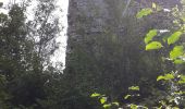 Tocht Stappen Dramelay - des ruines de Dramelay à la cascade de Quinquenouille - Photo 4