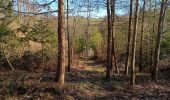 Trail Walking Dinant - Randonnée - Photo 9