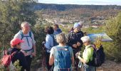 Excursión Senderismo Artignosc-sur-Verdon - Boucle du verdon - Photo 7