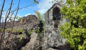 Tour Wandern La Trinité - La Caravelle - Photo 2