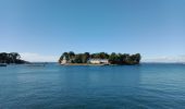 Tour Wandern Douarnenez - DOUARNENEZ  - Photo 1