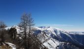 Excursión Raquetas de nieve Colmars - LAUPON 23.02.19 - Photo 13