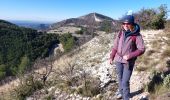 Trail Walking La Roque-Alric - Les 4 sommets de la Roque Alric - Photo 3