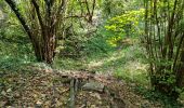 Trail Walking Chauffour-lès-Étréchy - Chauffour-lès-Etréchy - Coteau des Verts Galants - Photo 16