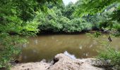 Tocht Hybride fiets Le Teich - Le Teich - Photo 5