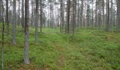 Tour Zu Fuß Hailuoto - Kirkonkylä/Ojakylä–Keskiniemi–Marjaniemi - Photo 2