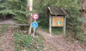 Trail Walking Cambo-les-Bains - CAMBO terra aventura 