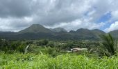 Randonnée  Le Morne-Rouge - Sainte Cécile/crête du Cournan/Beauvallon  - Photo 7