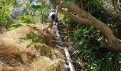 Tocht Te voet Labastide-de-Virac - Wikiloc Gorges de l'Ardeche - Photo 16