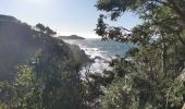 Percorso Marcia Hyères - Tour de la presqu'île de Giens est - Cap Esterel - Photo 7