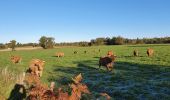 Tocht Huifkarwandeling Arnac-la-Poste - Arnac la poste - Photo 6