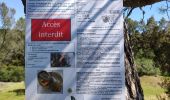 Excursión Senderismo Fréjus - z le plan Guinet 30-04-19 - Photo 5