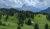 Tour Wandern St. Christina in Gröden - Col Raiser - Pieralonga - Seceda - Photo 2