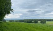 Randonnée Marche Gerpinnes - Petit tour sympa  - Photo 3