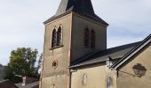 Randonnée Marche Paulinet - Le sentier du chevreuil - Photo 1