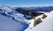 Trail Touring skiing Selonnet - 20210218 - Tête grosse - Chabanon - Selonnet - Photo 9