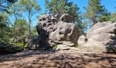 Tocht Stappen Fontainebleau - Fontainebleau sentier Denecourt 7 ouest prolongé  - Photo 19