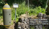 Tour Wandern Rochefort - Wavrielle  12-06-20 - Photo 10