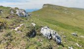 Randonnée Marche Bouvante - Pas de la Ferrière  - Photo 3