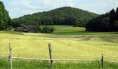 Tocht Te voet Oetwil an der Limmat - Weiningen - Oetwil - Photo 10