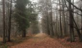 Trail On foot Nandrin - Les rochettes Bois des dames - Photo 5