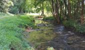 Trail Walking Onhaye - boucle Foy La heronniere - Photo 1