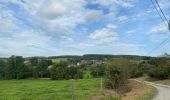 Tour Wandern Houyet - TR 5 Ciergnon - Photo 12