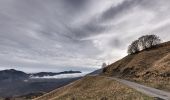 Tour Zu Fuß Ventasso - Ramiseto - Pratizzano - Capiola - Ospedalaccio - Photo 6