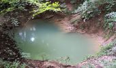 Trail Walking Comblain-au-Pont - poulseur . chanxhe . fays . monfort . poulseur - Photo 20