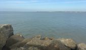 Trail Walking La Rochelle - Port de Pêche  - Photo 1