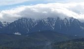 Tocht Te voet Predeal - Predeal - Șaua Pietricica - sub Vf. Piatra Mare - Photo 3