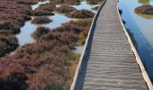 Tour Wandern Frontignan - les Aresquiers du 05-02-2024 - Photo 2