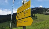 Tocht Te voet Brannenburg - Wendelstein - Reindler Alm - Mitteralm - Aipl - Zahnradbahn (Talbahnhof) - Photo 5