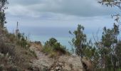 Tour Wandern Levanto - Levanto et sa coline  - Photo 14