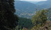 Tour Wandern Woll - Grand Ventron - Photo 1