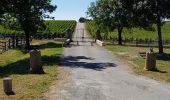 Percorso Marcia Saint-Laurent-Médoc - autour de Pauillac  - Photo 5