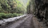 Tour Wandern Entre-Deux - L'entre deux l'arche naturelle  - Photo 5