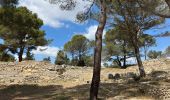 Trail Walking Saint-Mitre-les-Remparts - Balade à St Blaise  - Photo 3